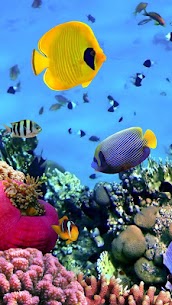 Ocean Fish Live Wallpaper For PC installation