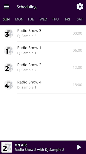 BRLOGIC English Screen 2