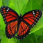 Cover Image of Télécharger Butterfly Puzzles  APK
