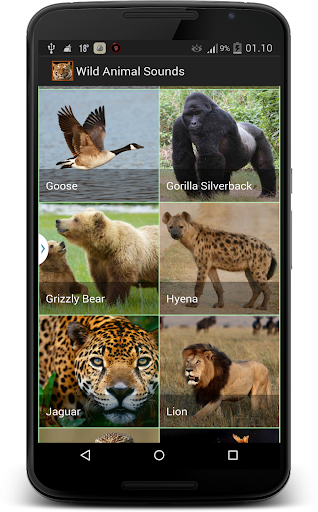Download Wildlife Sounds Free for Android - Wildlife Sounds APK Download -  