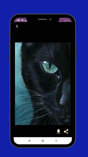 Android application خلفيات القطط screenshort