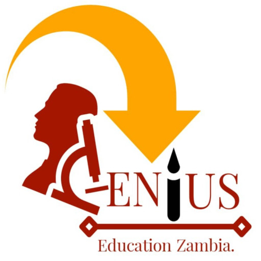 Geniuslearning logo