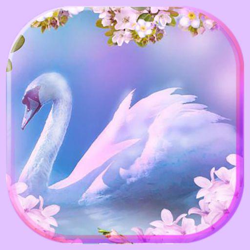 Spring Swans Live Wallpaper