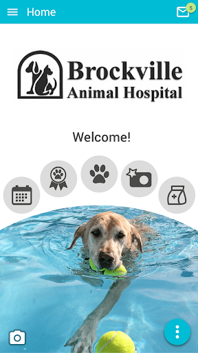 Android application Brockville Vet screenshort