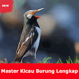 Master kicau Jalak Suren Gacor icon