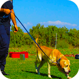 Police Dog Stunt Training icon