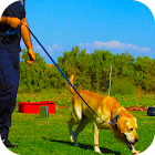 Police Dog Stunt Training 1.2