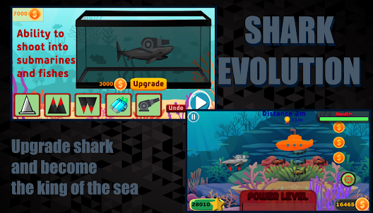Shark Evolution