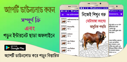 গরু মোটাতাজাকরণের পদ্ধতি