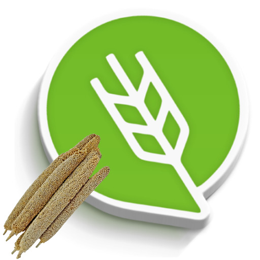 बाजरी लागवड logo