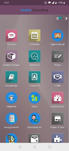 Anakut Consulting Screen 2