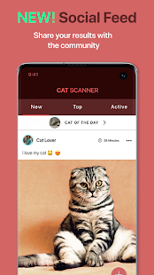 Cat Scanner: Breed Recognition  Screenshots 4