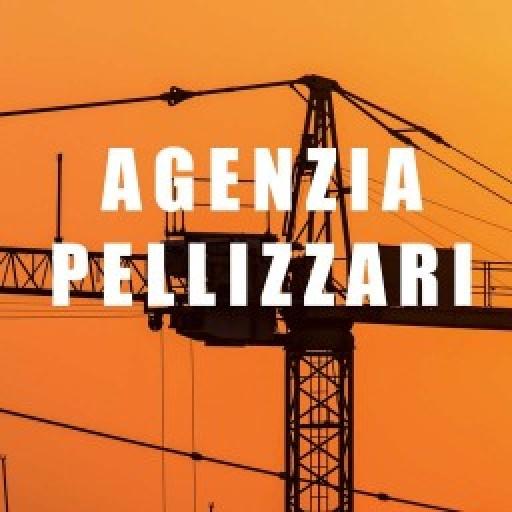 Agenzia Pellizzari logo