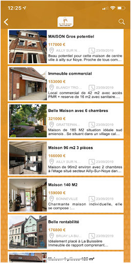 Au Vide Grenier Screen 2