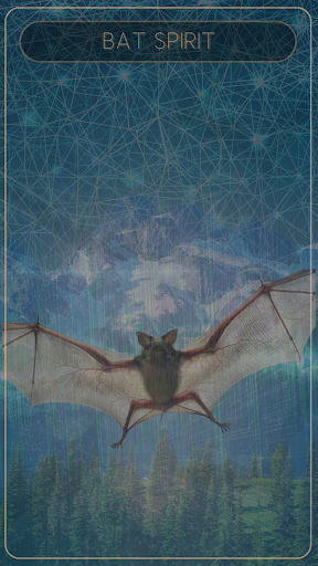 Shamanic Oracle Cards Screen 3