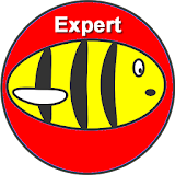 Buzzy Bee Expert icon