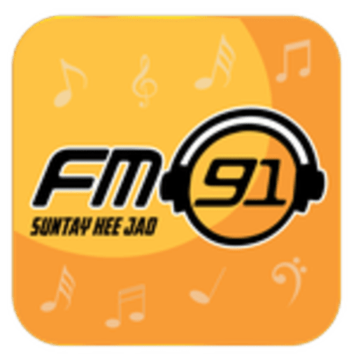 FM91 Pakistan logo
