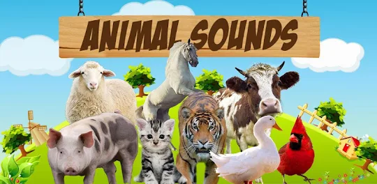 동물의 소리
