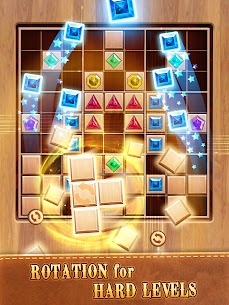 Block Blast: Sudoku Puzzle  Full Apk Download 8