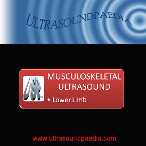 MSK ultrasound Lower Limb 1.0 Icon