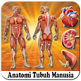 Anatomi Tubuh Manusia icon