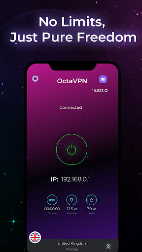 OctaVPN Screen 2