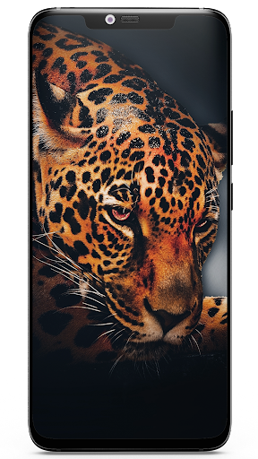 Android application Wild & Exotic Animal Wallpaper screenshort