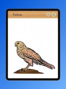 Captura 22 Cómo dibujar aves rapaces android