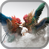 Rooster fight - Cookfighing icon
