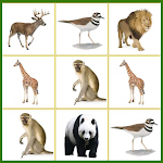 Cover Image of Download Animal Match Game 1.0 APK