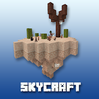 SkyCraft 2021 - master craft and building