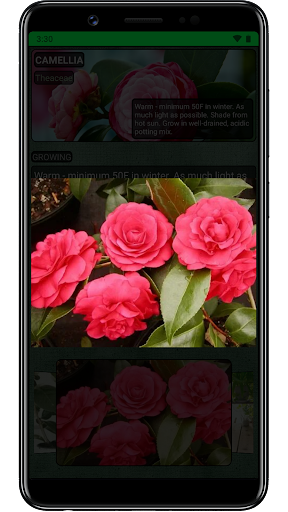 Houseplants Screen 3
