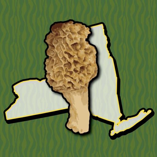 New York Mushroom Forager Map Header - AppWisp.com