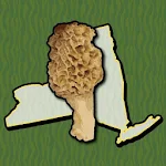 Cover Image of Download New York Mushroom Forager Map  APK