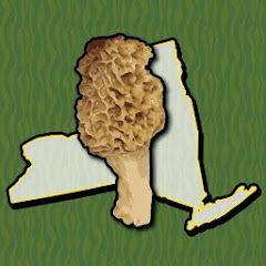 New York Mushroom Forager Map