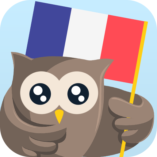 Learn French for beginners  Icon