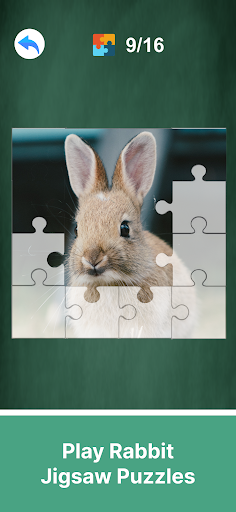 Adopt A Rabbit : Virtual Pet Screen 3