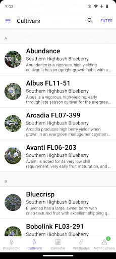 UF Blueberry Growers Guide 5