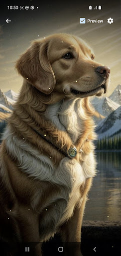 Android application Golden Retriever Wallpaper screenshort