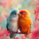 Birds Wallpapers in 4K - Androidアプリ