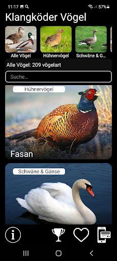 App-Vorschau
