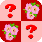 Flower Matching Game icon