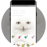 White Owl Theme Funny Birds Live Wallpaper icon