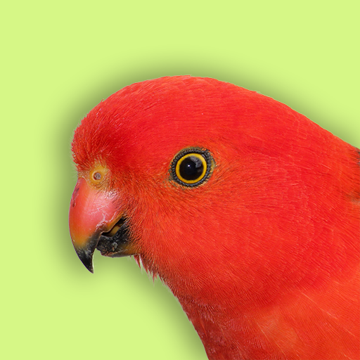 Australia Birds ID - Demo logo