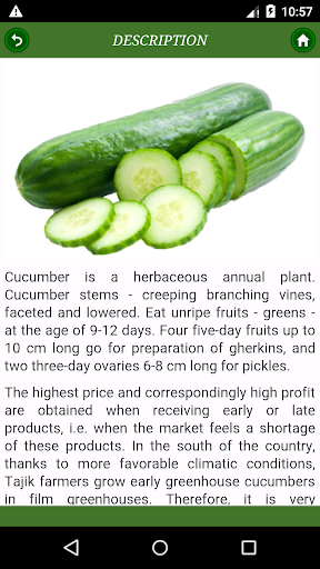 Cucumber: from "A" to "Z" Screen 2