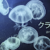√ダウンロード 壁紙 海月 241585-壁紙 海月