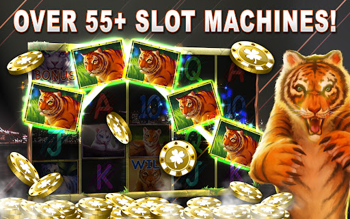 VIP Deluxe Slots Games Offline 16