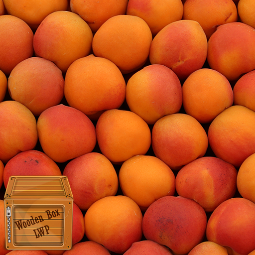 orange fruit wallpaper logo