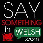 Cover Image of Download Say Something in Welsh  APK