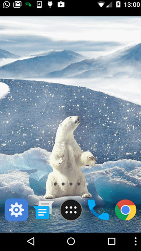 polar bear wallpaper Screen 2